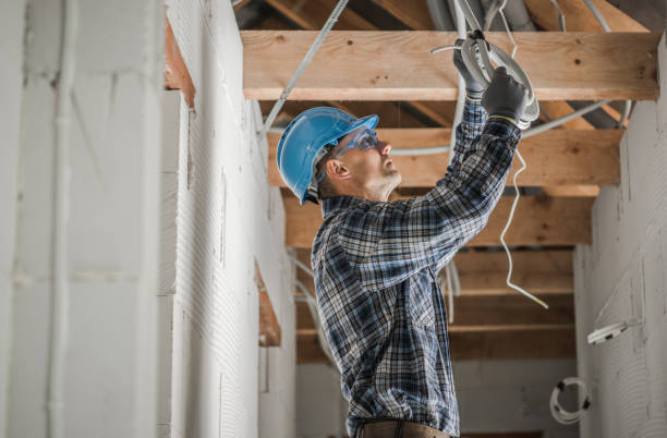 Best Generator Installation Services  in Marlette, MI
